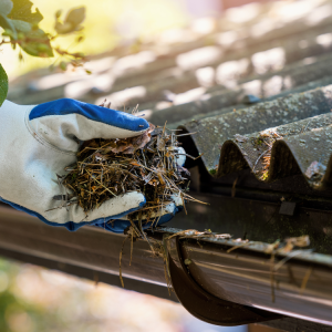 Gutter Services in Blythewood, SC